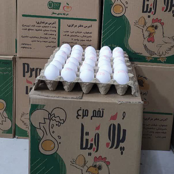 تخم مرغ کارتونی پرو ویتا